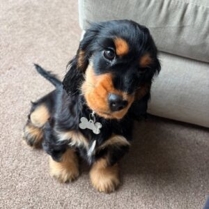 Winnie  Macho